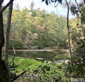 03 Watkins Rd, Highlands, NC 28741