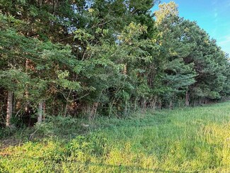 0 Grant 42, Prattsville, AR 72129