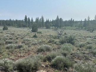 0 Nagel Ridge Way Unit 220203109, Sprague River, OR 97639