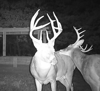 0 Turkey Rd, Howard, KS 67349