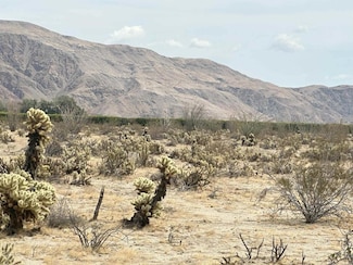 0 Indian Head Ranch Rd Unit NDP2503292, Borrego Springs, CA 92004