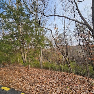 6900 Scenic View Dr, High Ridge Township, MO 63016