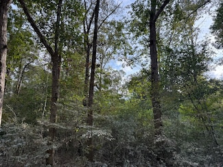 0 Swick Trail, Livingston, TX 77351