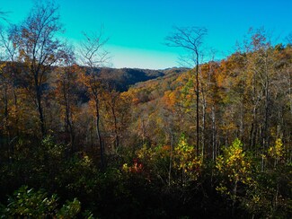 0 Rock Springs Rd Unit RTC3049749, Celina, TN 38551