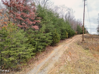 Lot 2 Old Knoxville Hwy, Greeneville, TN 37743
