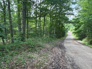 van Crabtree Cemetery Road Lot Unit Wp001, Lucasville, OH 45648