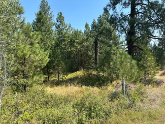 305X N Dalton Rd, Deer Park, WA 99006