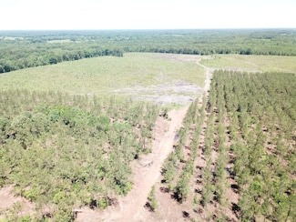 County Road 4284, Simms, TX 75574