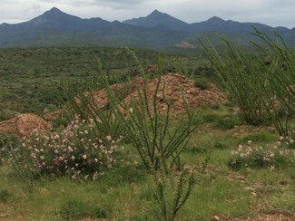 Tbd Camino Carina, Rio Rico Northeast, AZ 85648