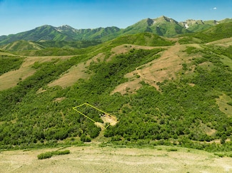 100 West Canyon, Cedar Fort, UT 84013