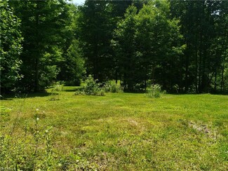 0 Mennonite Rd, Mantua, OH 44255