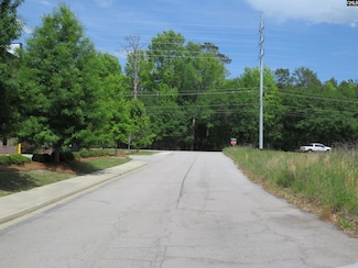220 Cedarcrest Dr, Lexington, SC 29072