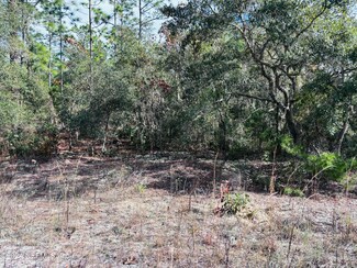 418 Rustic Rd, Satsuma, FL 32189