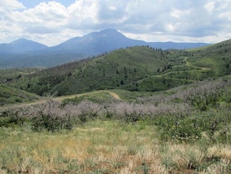 Lot 32 Raspberry Mountain Ranch, La Veta, CO 81055