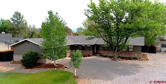 560 Willow Wood Ln, Delta, CO 81416