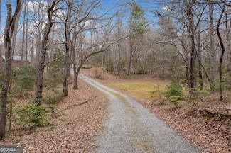 320 Highway 2, Blue Ridge, GA 30513