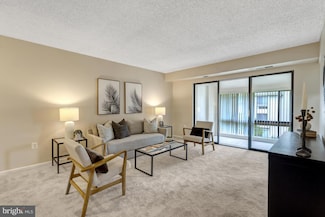 10208 Bushman Dr, Oakton, VA 22124