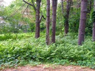 0 Swain St Unit 4643162, Woodstock, VT 05091