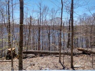 4 Boat House Rd, Paupack Township, PA 18436