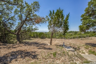 218 Quest Ave, Spring Branch, TX 78070
