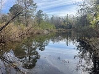 3365 Columbia Hwy N, Ridge Spring, SC 29129