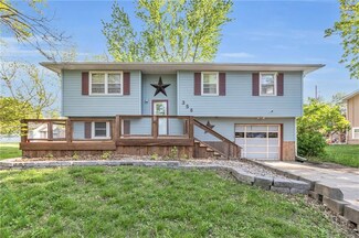 356 W 3rd Terrace, Wellsville, KS 66092