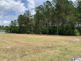34 Charles Rd, Marion, SC 29571