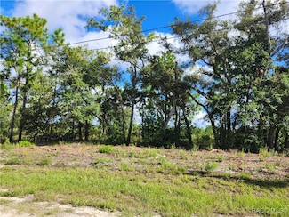 6715 N Darlington Dr, Pine Ridge, FL 34434