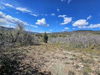 B24 Spring Creek Dr, Fairview, UT 84629