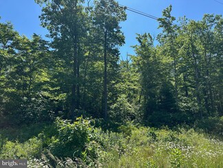 0 Tyrone Pike, Sandy Ridge, PA 16677