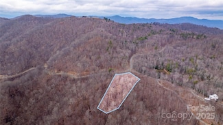 00000 Grassland Pkwy Unit 14, Marshall, NC 28753