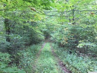 0 Hull Rd Unit 117423, Gallatin, NY 12567