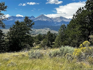 186 Flavin Ln, Fort Garland, CO 81133