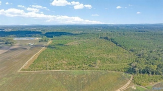 County Road 239, Centre, AL 35960