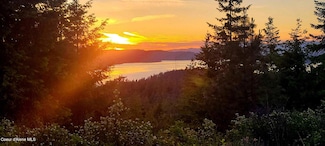 NKA Lisa Rd, Harrison, ID 83833