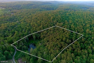 5 Meadow Cliff Ln, Hardwick Township, NJ 07825