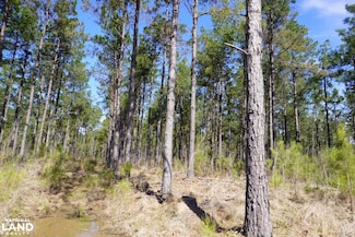 100 Grace Church Rd, Kingsland, AR 71562