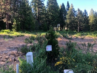 7 Old Mill Dr, McCloud, CA 96057