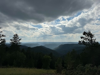 Lot 138 Deer Mountain Rd Unit Legal determined by, South Lawrence, SD 57754