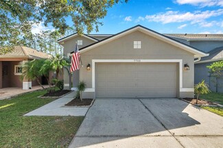 7753 Foxgrove Dr, Land O Lakes, FL 34637