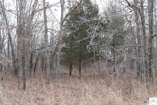 0 Ritchie Ln Unit Lot 2173 101129, Edwards, MO 65326
