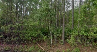 541 Palmetto Bluff Rd, Palatka, FL 32177