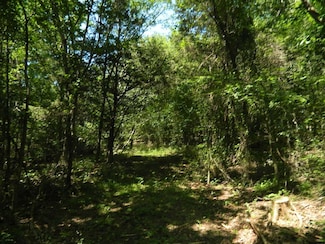 13184 Cove Creek Rd N, Prairie Grove, AR 72753