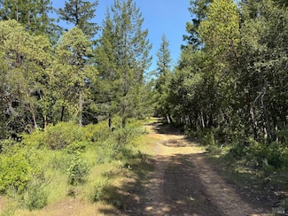 0 Moore Homestead Rd, Philo, CA 95466