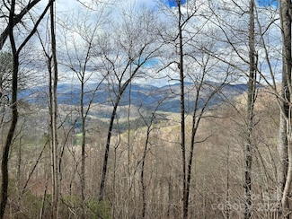0 Maltese Way Unit 25 CAR4243822, Whittier, NC 28789