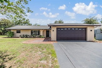 4228 Belle Isle Ct, New Port Richey, FL 34653