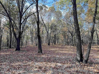 10.61 AC Jackson Ridge, Omaha, AR 72662