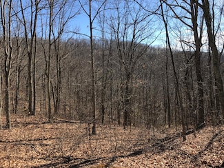 Lot 39 Wildwood Ridge, Caldwell, WV 24925