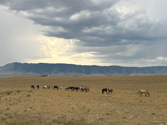 Tr 305 Bighorn Dr, Laramie, WY 82070