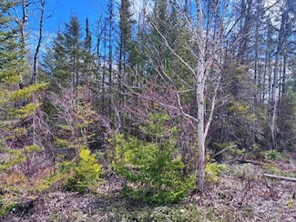 Lot 338 E Co Road 638, Presque Isle, MI 49777